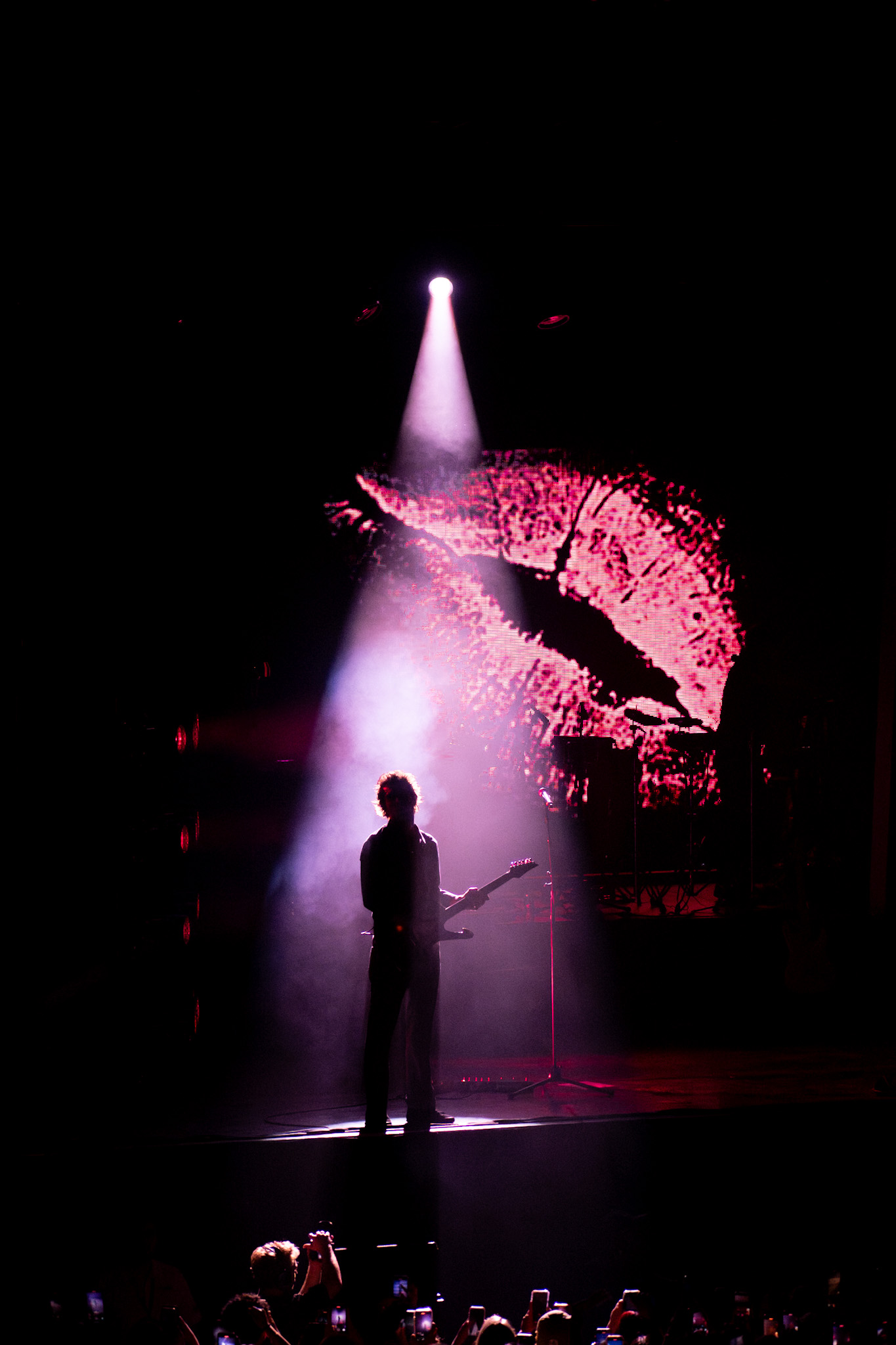 DSC_0687-Enhanced-NR